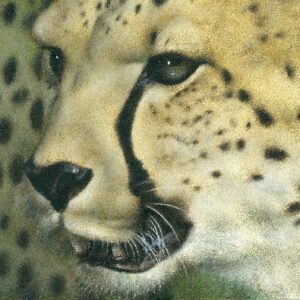 Peinture réaliste à l’huile du profil d’un guépard
