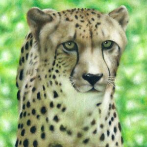 Gros plan d’un guépard peint à la main, mettant en valeur la peinture toile guépard.