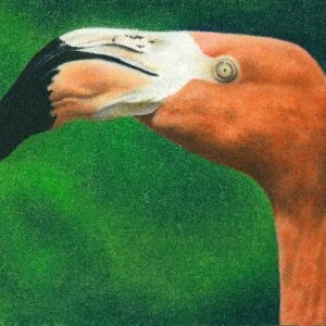 Peinture à l'huile flamant avec fond vert profond mettant en valeur son élégance naturelle