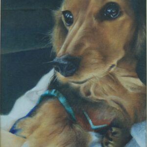 Retrato animal feito à mão, destacando a expressão única e os detalhes do animal de estimação.