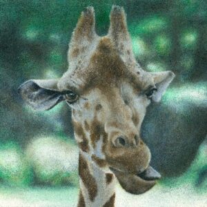 Peinture girafe élégante réalisée à l’huile avec texture détaillée