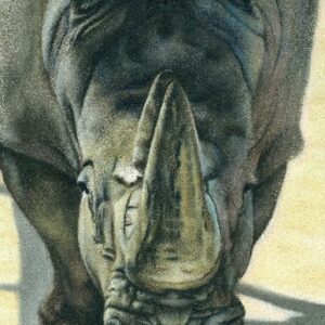 Peinture à l’huile de rhinocéros sur toile F4 capturant une présence tranquille et une dignité sauvage avec des détails précis.