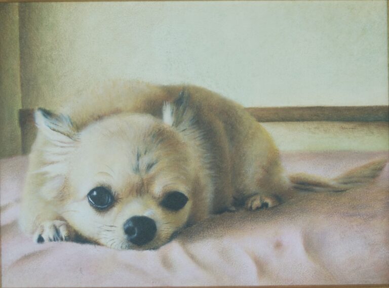 Custom oil portrait of a fluffy Chihuahua with lifelike details