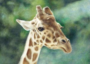 Sanfter und eleganter Blick – Giraffen-Ölgemälde