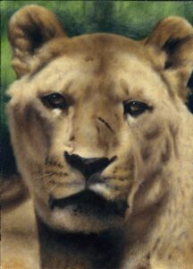 Reina de la Sabana