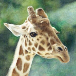A giraffe oil painting that exudes elegance and serenity