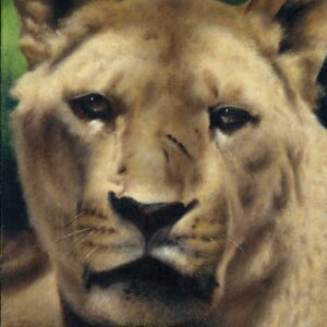 A lion oil painting depicting the queen of the savannah